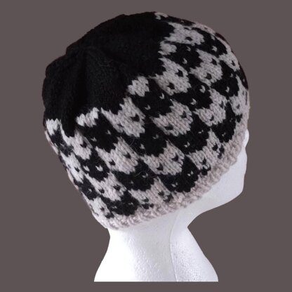 Cat Attitude All Round