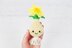 Daffodil Bulb
