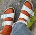 Seed Fall Moon Socks