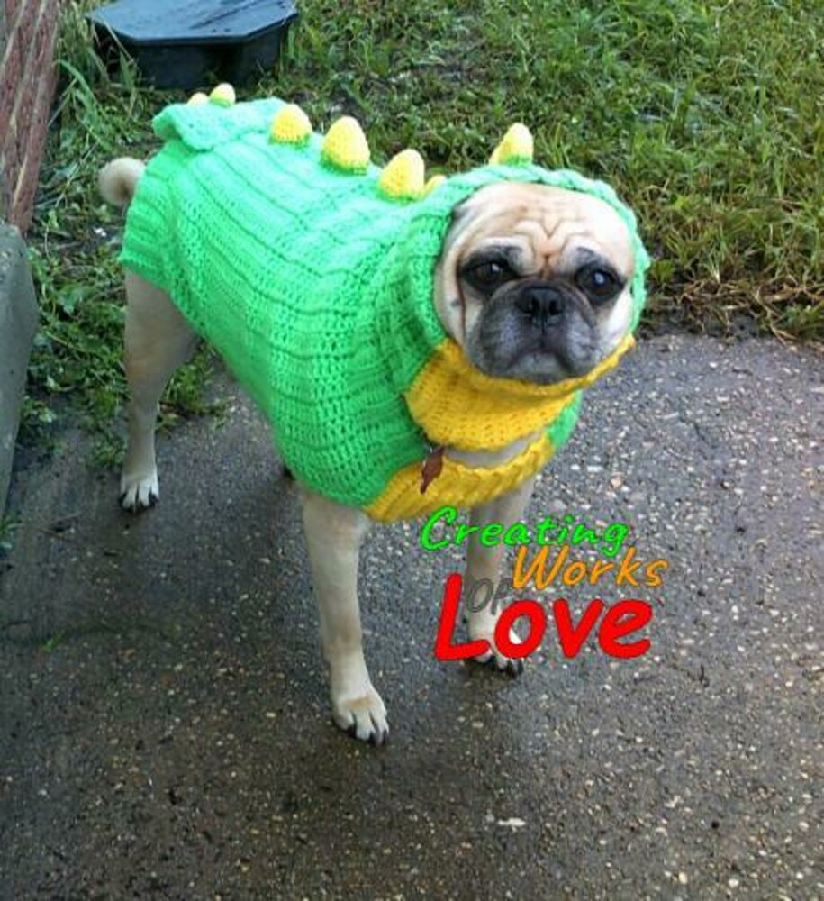 Dinosaur store dog sweater