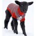 Kristin Nicholas Designs A Dog In Sheep's Clothing PDF