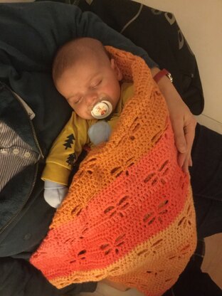 Dragonfly pram blanket