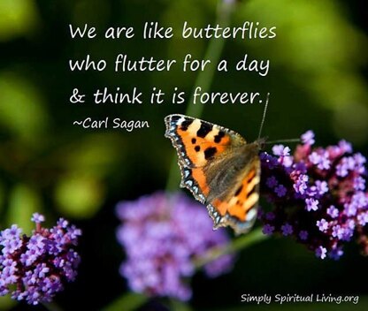 We Are Like Butterflies Mittens