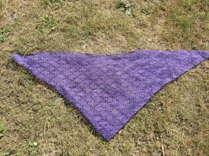 Betty's Shawl