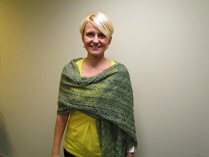 Carlisle Lace Wrap and Scarf