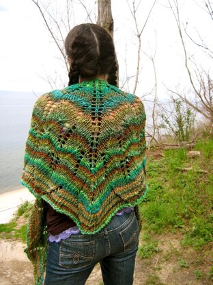 Cutting Ferns Shawl