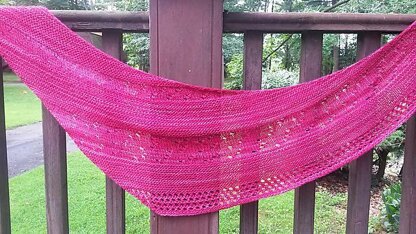 Peekaboo Shawl