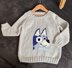 Bluey toddler jumper