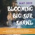 Blooming Big Sur
