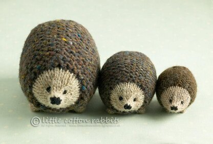 Little oddment hedgehog