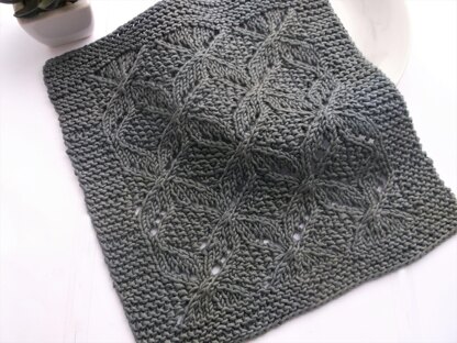 Ragusa dishcloth