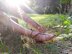 Easy Crochet Barefoot Sandals Pattern "Strawberry Trail"