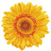 Diamond Dotz Happy Day Sunflower Diamond Painting Kit