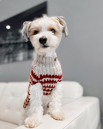 Eddie Striped Dog Sweater