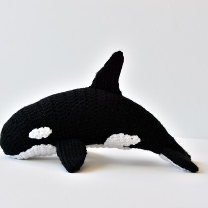 Orca Whale