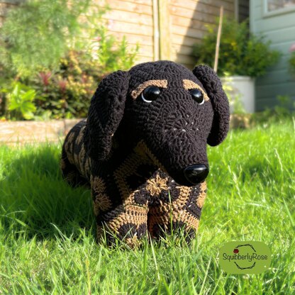 Desmond the African Flower Dachshund Dog