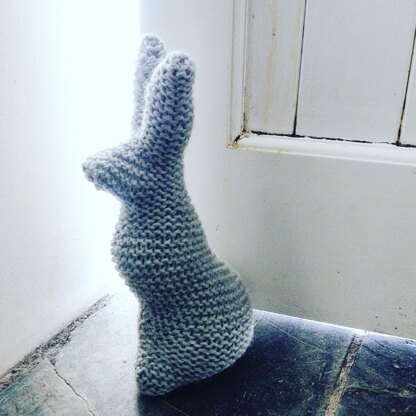 Hare a doorstop pet