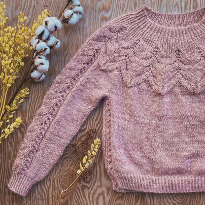 Lace Delight Sweater