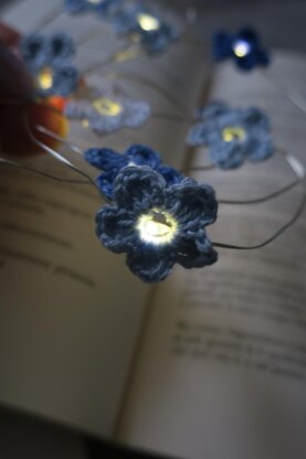 Forget Me Not