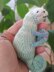 Chameleon knitting pattern