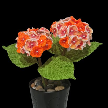 Crochet Hydrangea flowers