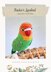 Fischer's Lovebird Plush