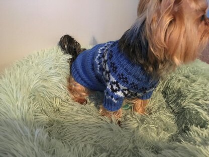 Yoke Dog Sweater