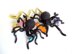 Black Widow/Black Spider Amigurumi Decoration