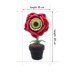 Eyeball Rose Flower in Pot