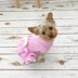 Dog Dress Crochet Pattern in 4 sizes #495