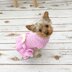 Dog Dress Crochet Pattern in 4 sizes #495