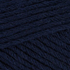 Navy Night (20)