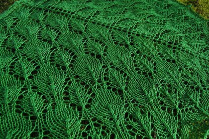 Verdant shawl