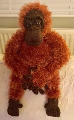 Orangutan