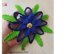 Blue poinsettia flower