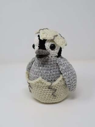 Hatching Penguin Chick