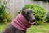 Faye Dog Snood