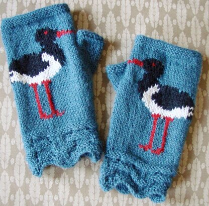 Oystercatcher fingerless mitts