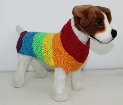 Chunky Spectrum Dog Coat