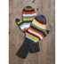 Blue Sky Fibers 21 Color Mitts Kit