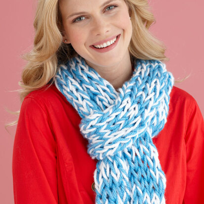 Team Colors Scarf in Lion Brand Hometown USA - L20094