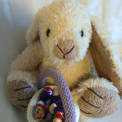 Loppy the Baby Lop Eared Bunny plus basket