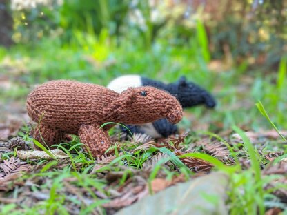 Mini Tapir Cousins Floyd and Elena