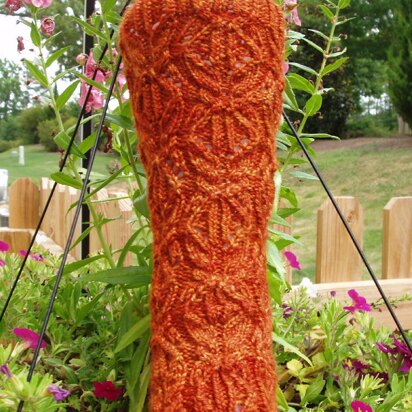 Nectocaris Socks - knitting pattern