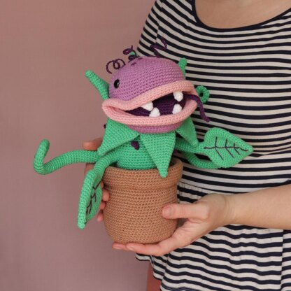 Clarence The Peckish Plant