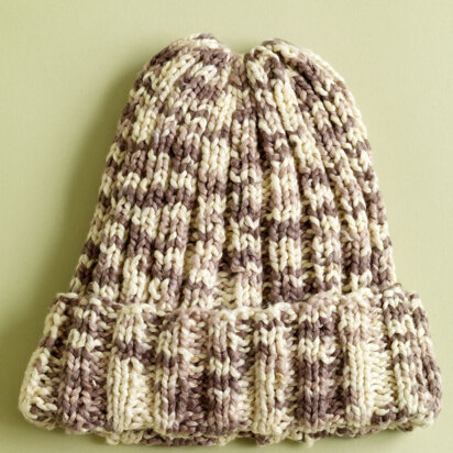 Sand Dollar Hat in Lion Brand Nature's Choice Organic Cotton- L0479