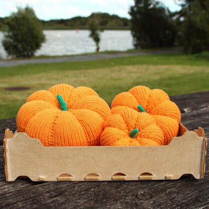 Snuggly Pumpkins