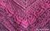 Ana Lucia Shawl