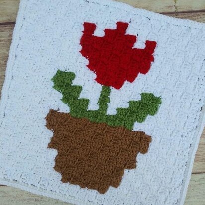 C2C Potted Tulip Square