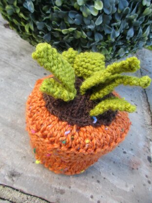 Potted Plant Container